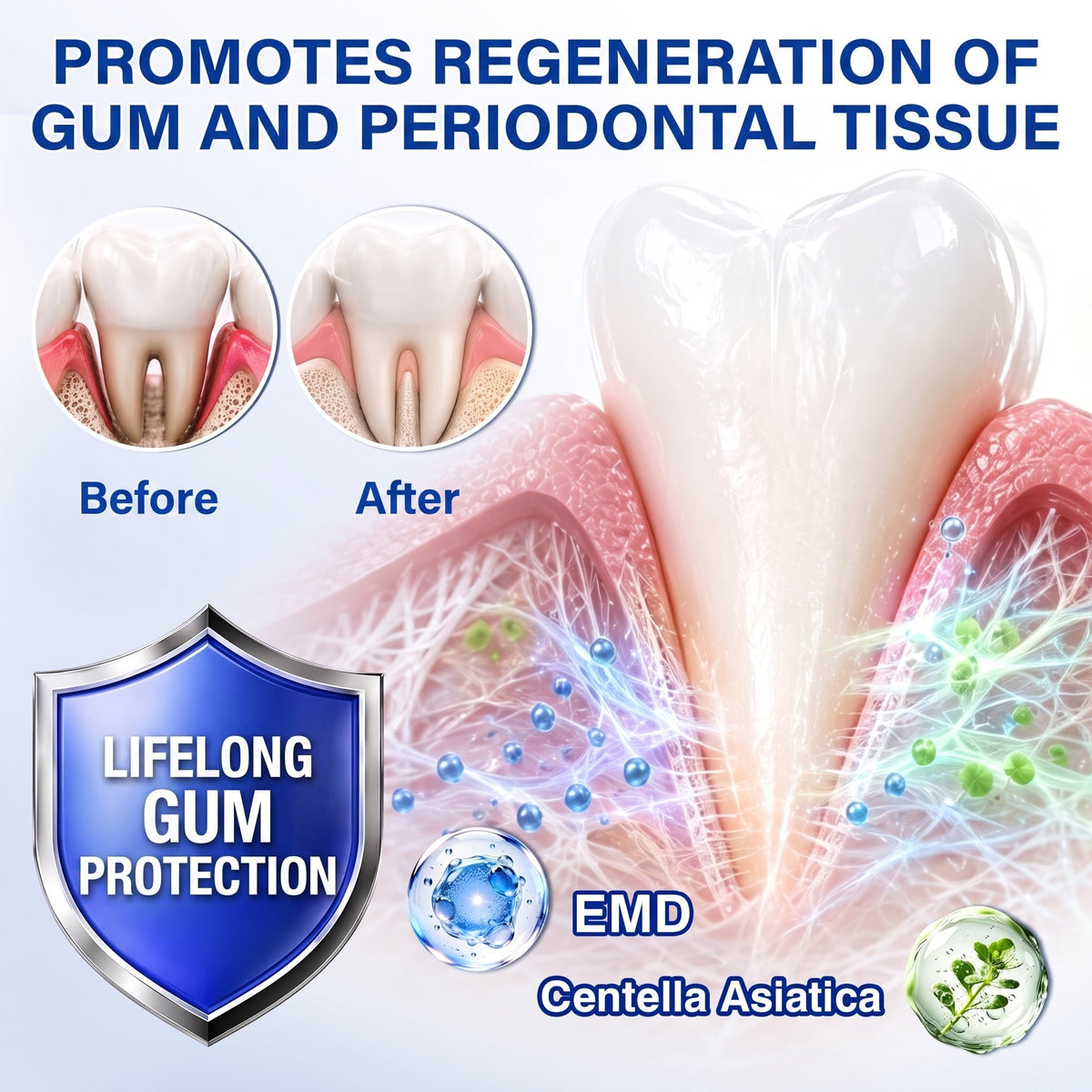 🔥Purelora® GumRevive periodontal repair gel